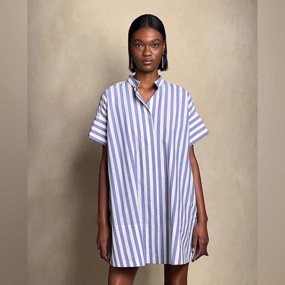 Banana Republic Blue and White Striped Dress